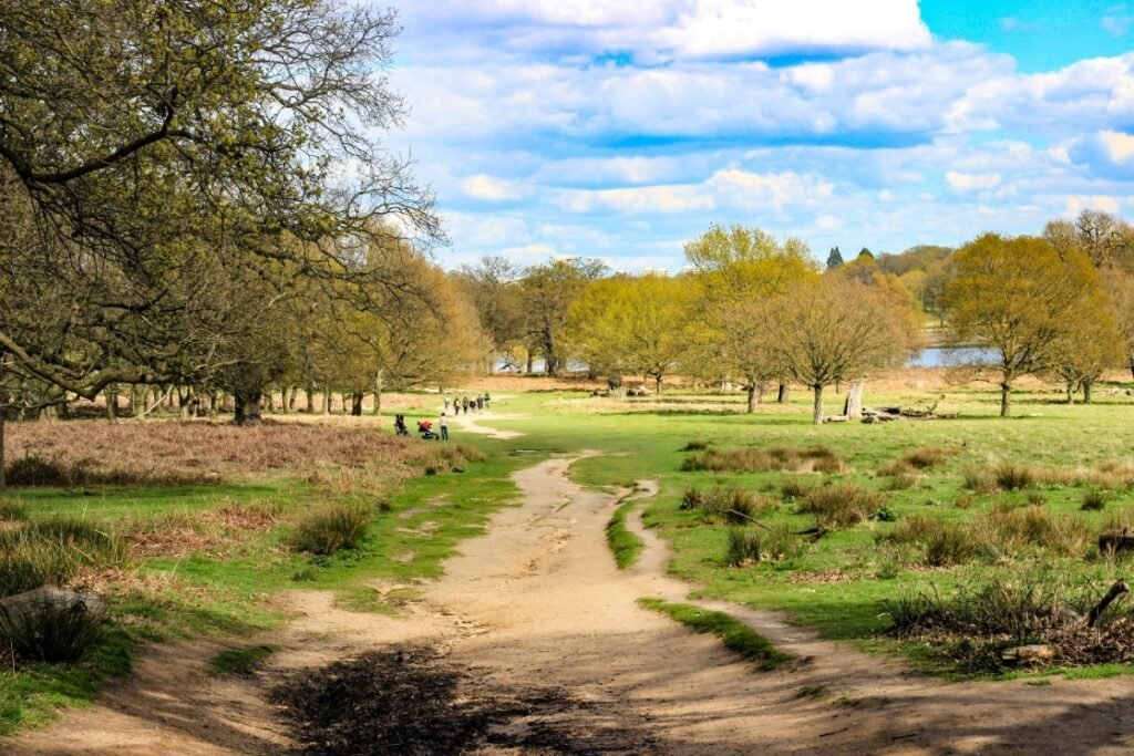 17. Richmond Park — Richmond, Southwest London